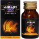 Dabur Shilajit Gold 20 Capsules