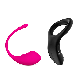 Lovense Diamo And Lovense Lush