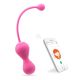 Magic Kegel Master Gen 2 App Control Vibrator