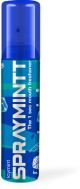Spray Mint - Ice Mint Flavour